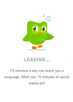 loading page designs duolingo