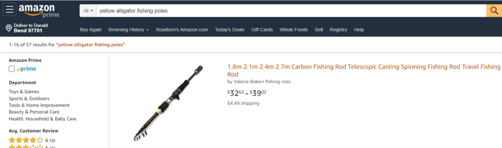 screenshot of amazon ecommerce site search