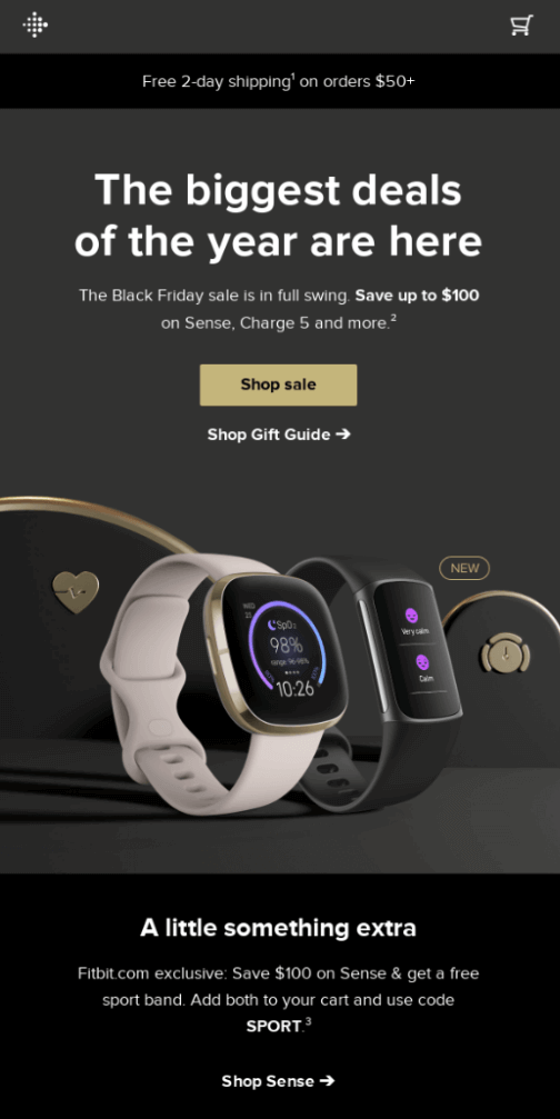 holiday email marketing campaign fitbit