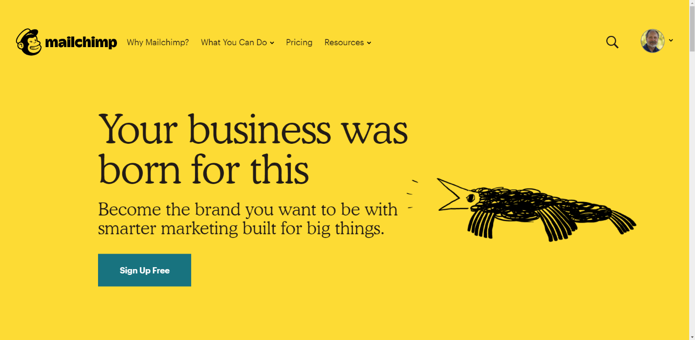 mailchimp homepage