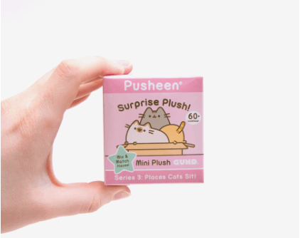 unboxing experience for a mystery box led to a Pusheen gift